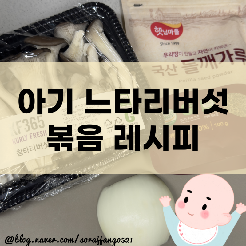 아기 느타리버섯 들깨볶음, 유아식반찬 추천 쉬운 레시피