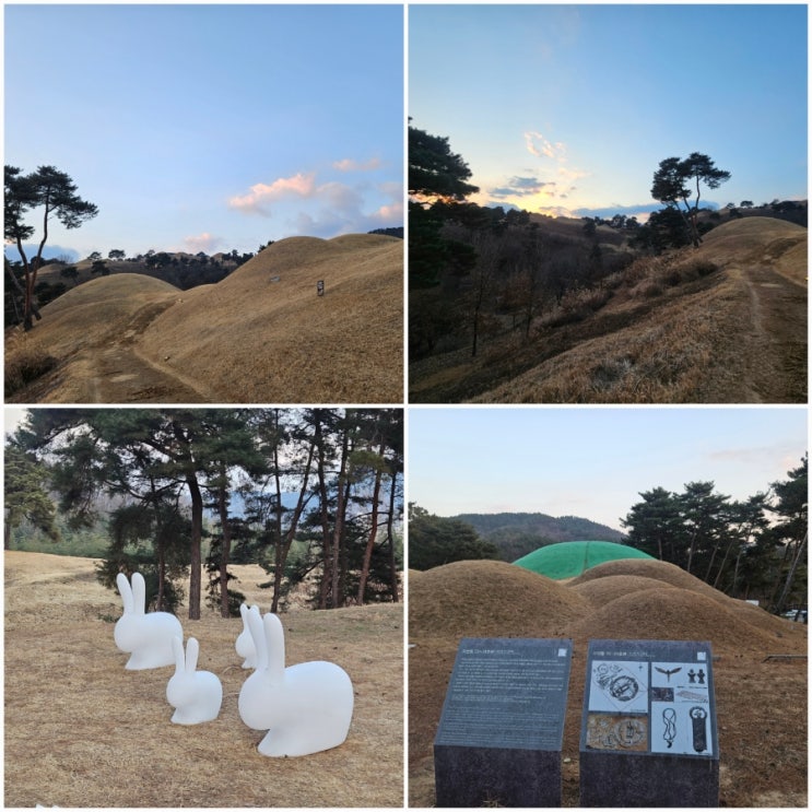  대구 근교 여행 가볼만한곳 경북 대가야박물관 지산동고분군