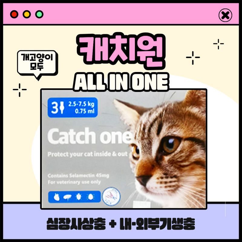 피펫