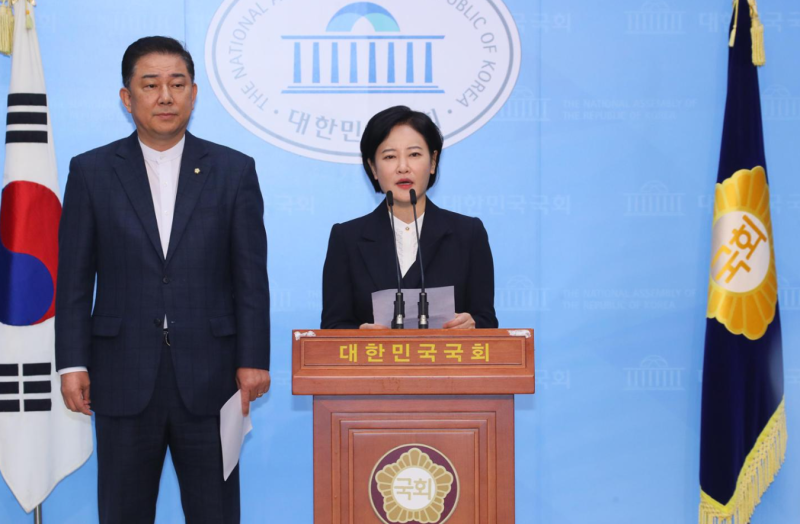 민주당 이수진 전의원 프로필 불법 정치자금 의혹 고향 나이 학력