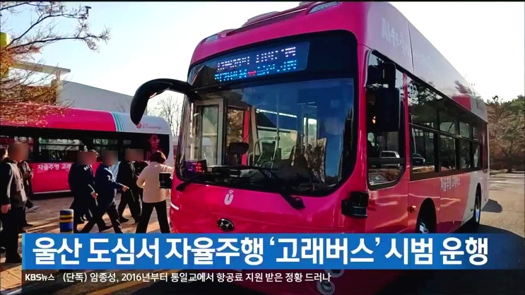  울산 자율주행 버스 울산마실고래버스 vs 자율주행고래버스 노선 및 이용방법 차이점 비교
