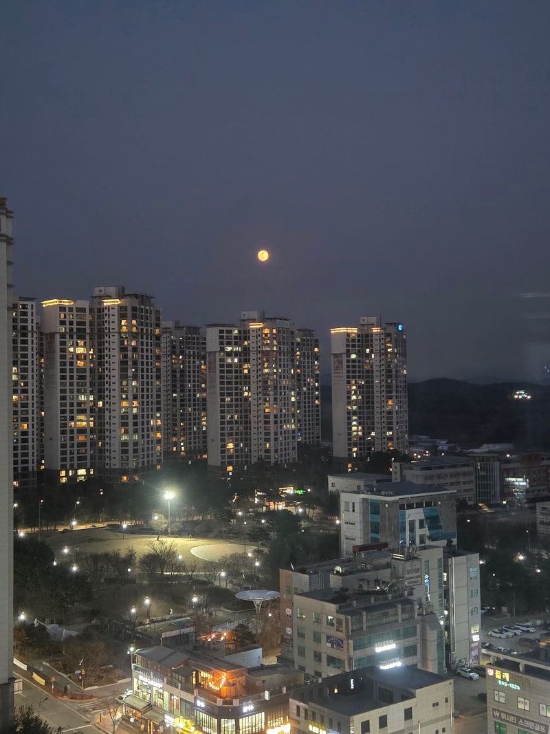 정책지식 2026.1.6. : 네이버 블로그