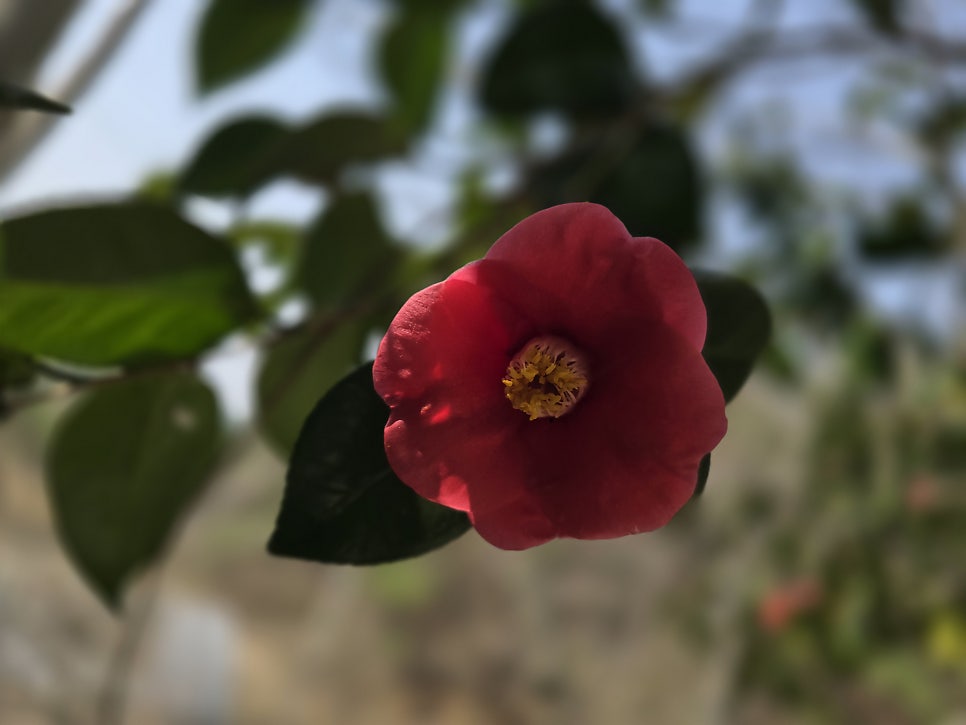송규산 사진 3