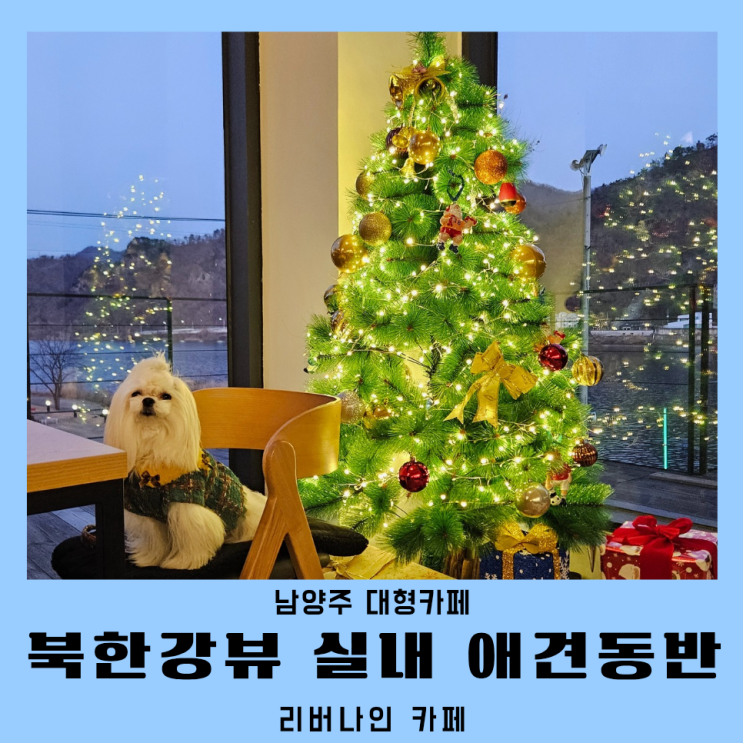 남양주 대형카페 리버나인 실내 애견동반 카페