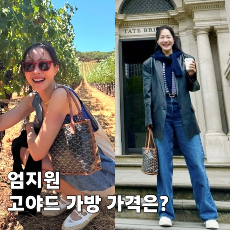 48세 엄지원, 고야드 가방 미니앙주 블랙탄 가격은?