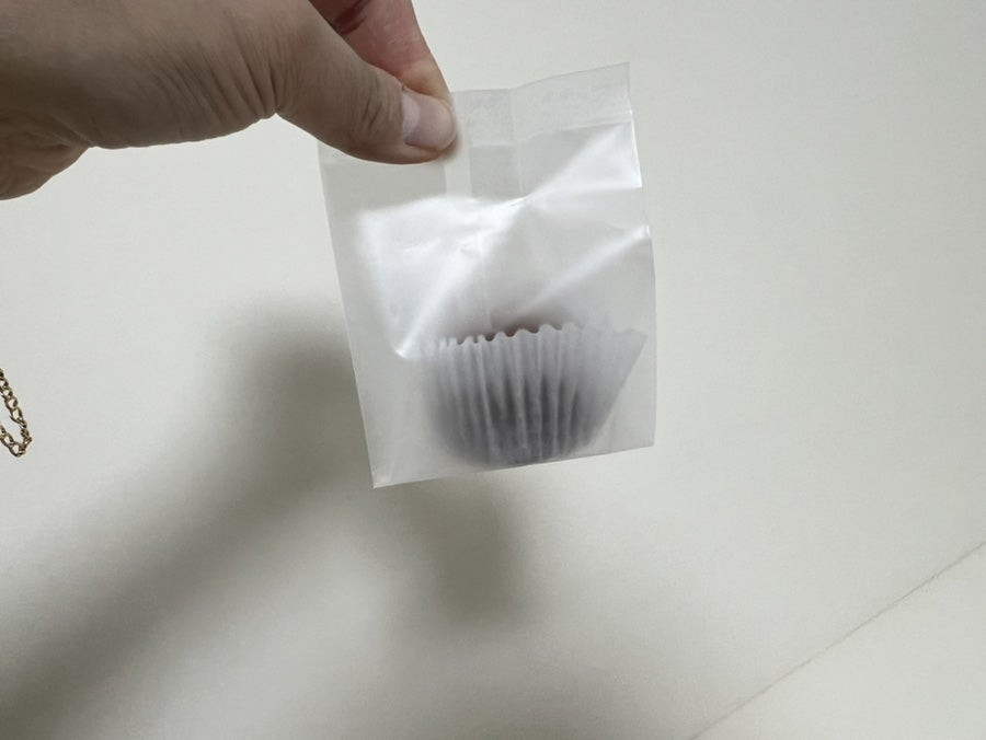 작은씨앗 사진 4