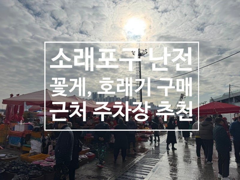 소래포구 난전시장 꽃게, 호래기 구매 소래포구 난전시장 주자장
