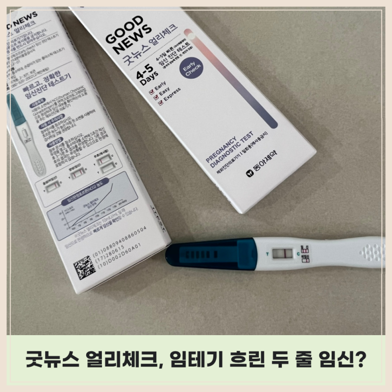 굿뉴스 얼리체크 사용 후기｜임신테스트기 희미한 두줄, 임신일까?