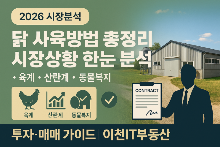   2026 닭 사육, 고수익 비밀 공개!  계사 종류/사육법 총정리 & 시장 분석 (feat. 이천IT부동산 전문 상담)