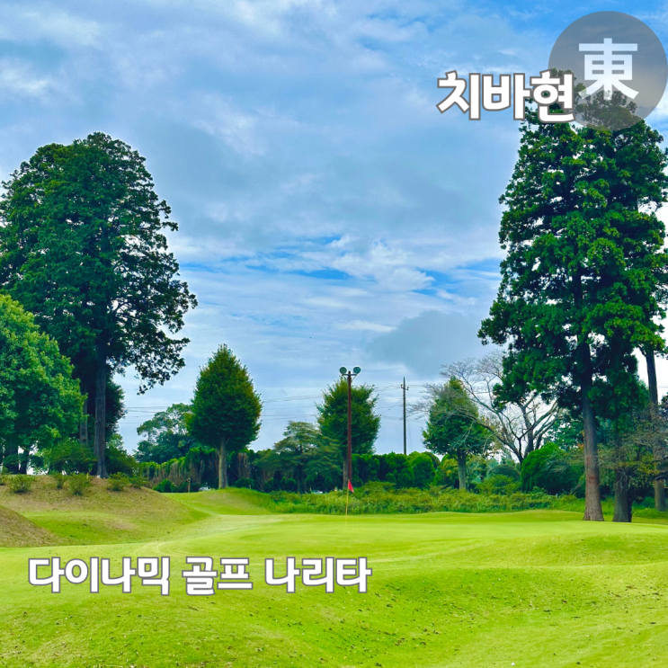  일본 숏게임 골프장 다이나믹 골프 나리타