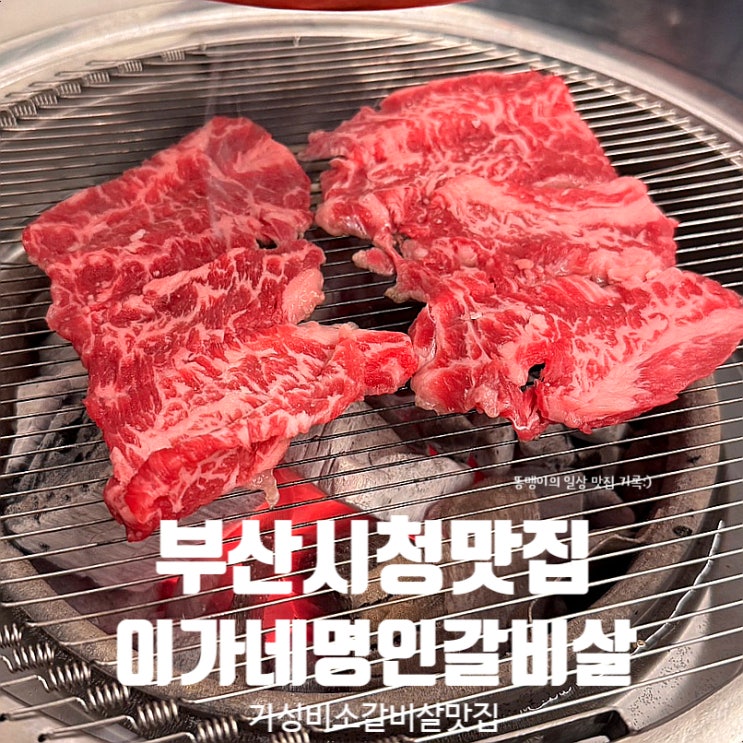  부산시청맛집 이가네명인갈비살 부산시청점 가성비 소갈비살 추천