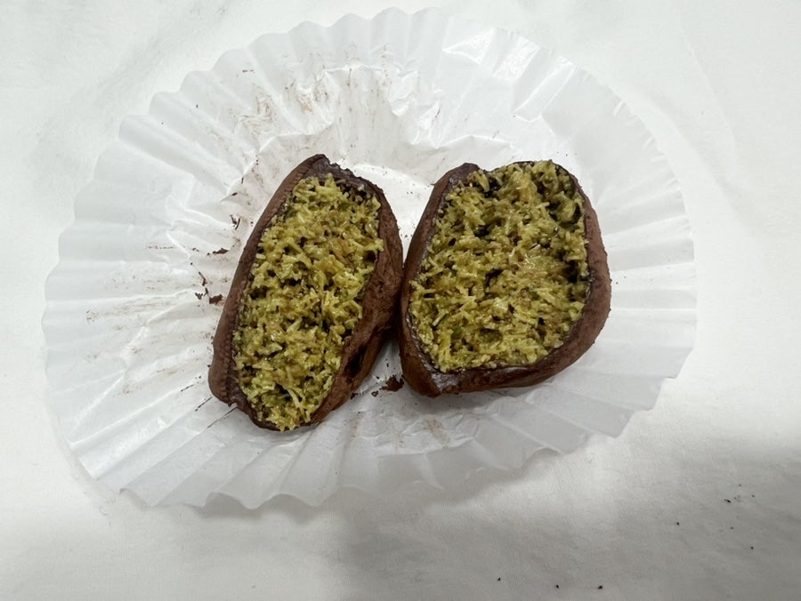 작은씨앗 사진 6
