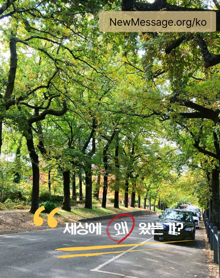  왜 이 세상에 왔는가?
