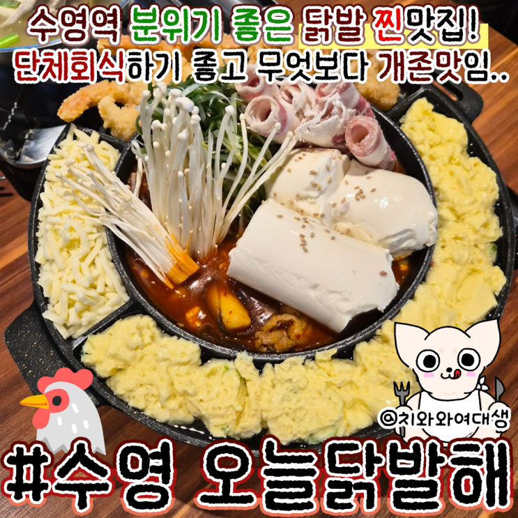  수영 맛집 술집 오늘닭발해 단체회식 후기