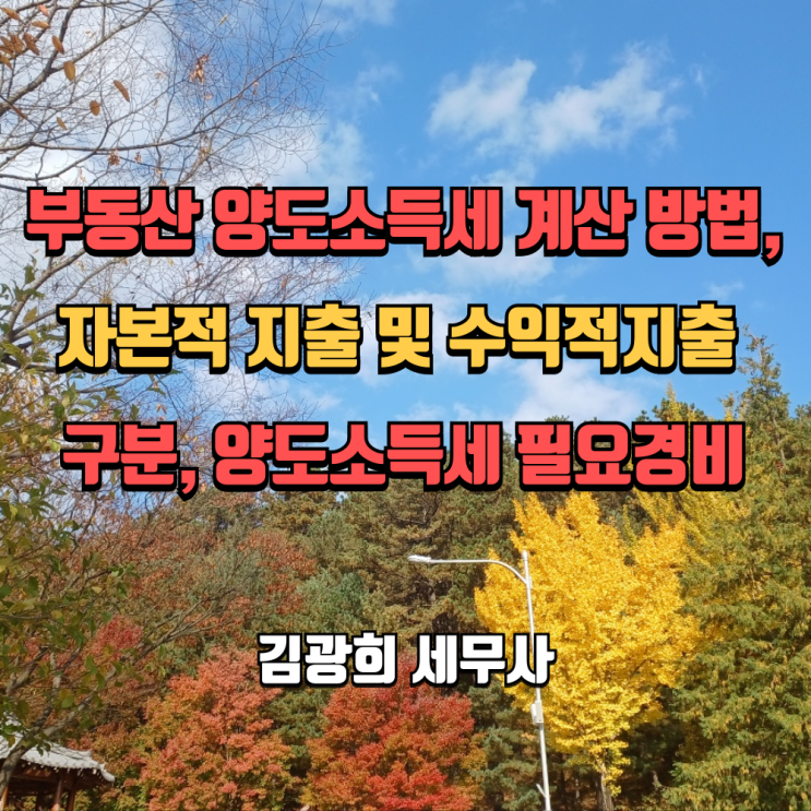  부동산 양도소득세 계산 방법, 자본적 지출 및 수익적지출 구분, 양도소득세 필요경비