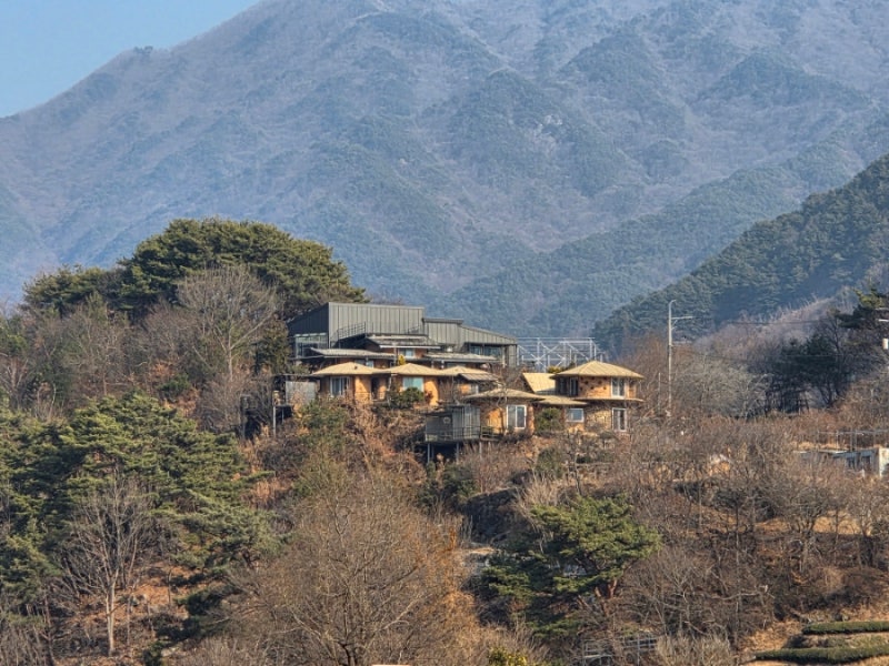 사진 5