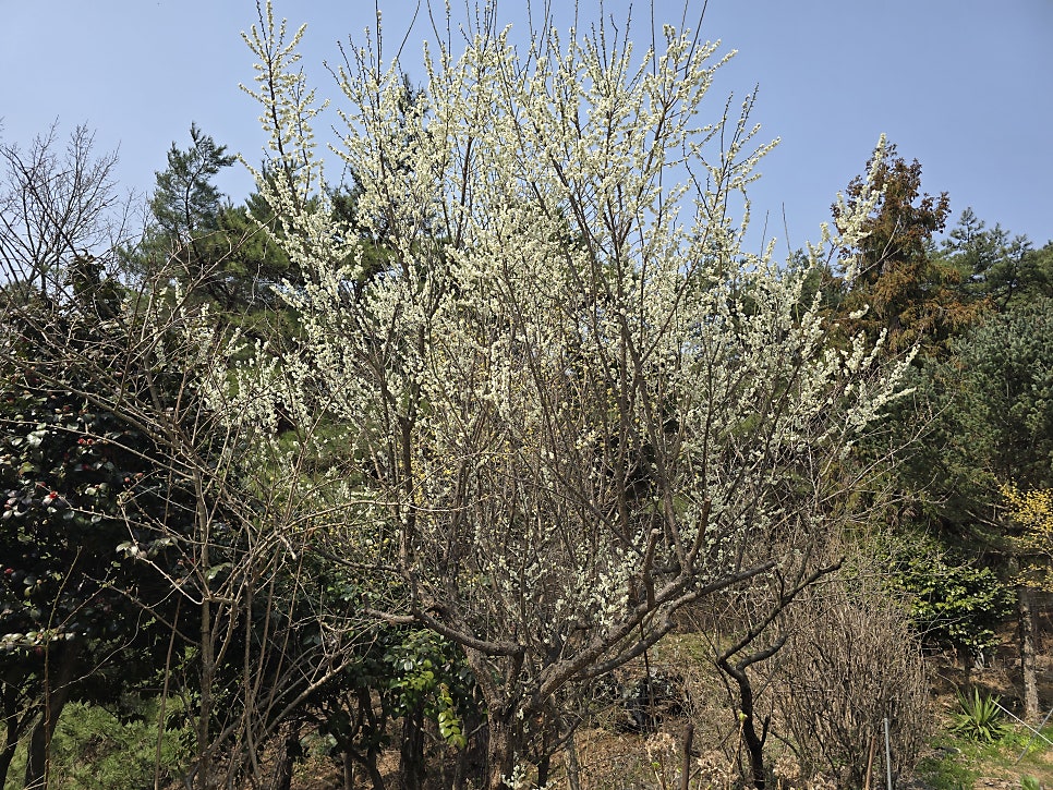 송규산 사진 4