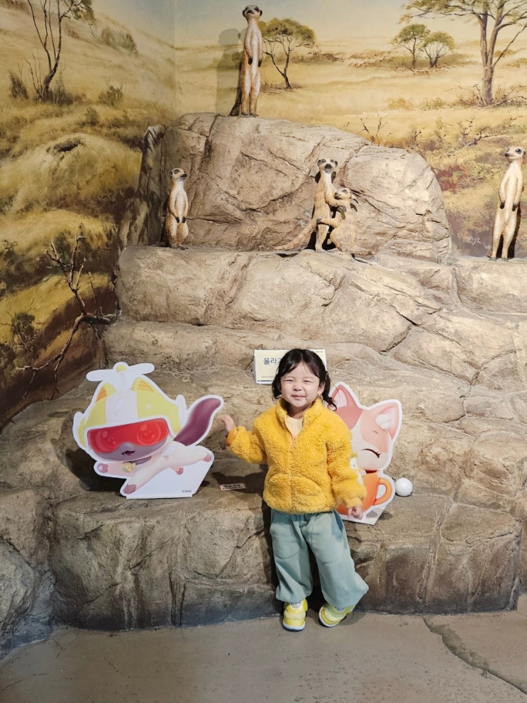  아이랑 가기 좋은 대구신세계 아쿠아리움 대구 최초 위시캣 콜라보까지