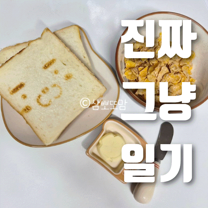  진짜 그냥 일기 | 2025년의 마지막 날, 2026년의 첫 날