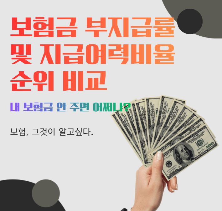 보험금 부지급률 및 지급여력비율 순위 비교, 내 보험금 안 주면 어쩌나?