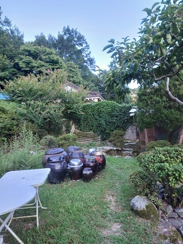 설중매산장 사진 2
