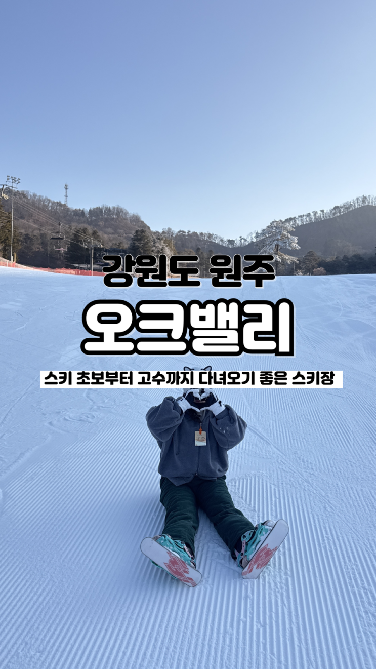  겨울 스포츠의 꽃 스키 리조트 및 부대시설들까지 강원도 스키장 오크밸리