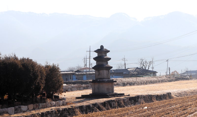사진 6
