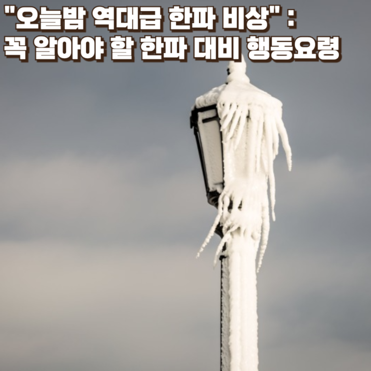  "오늘밤 역대급 한파 비상" :  꼭 알아야 할 한파 대비 행동요령