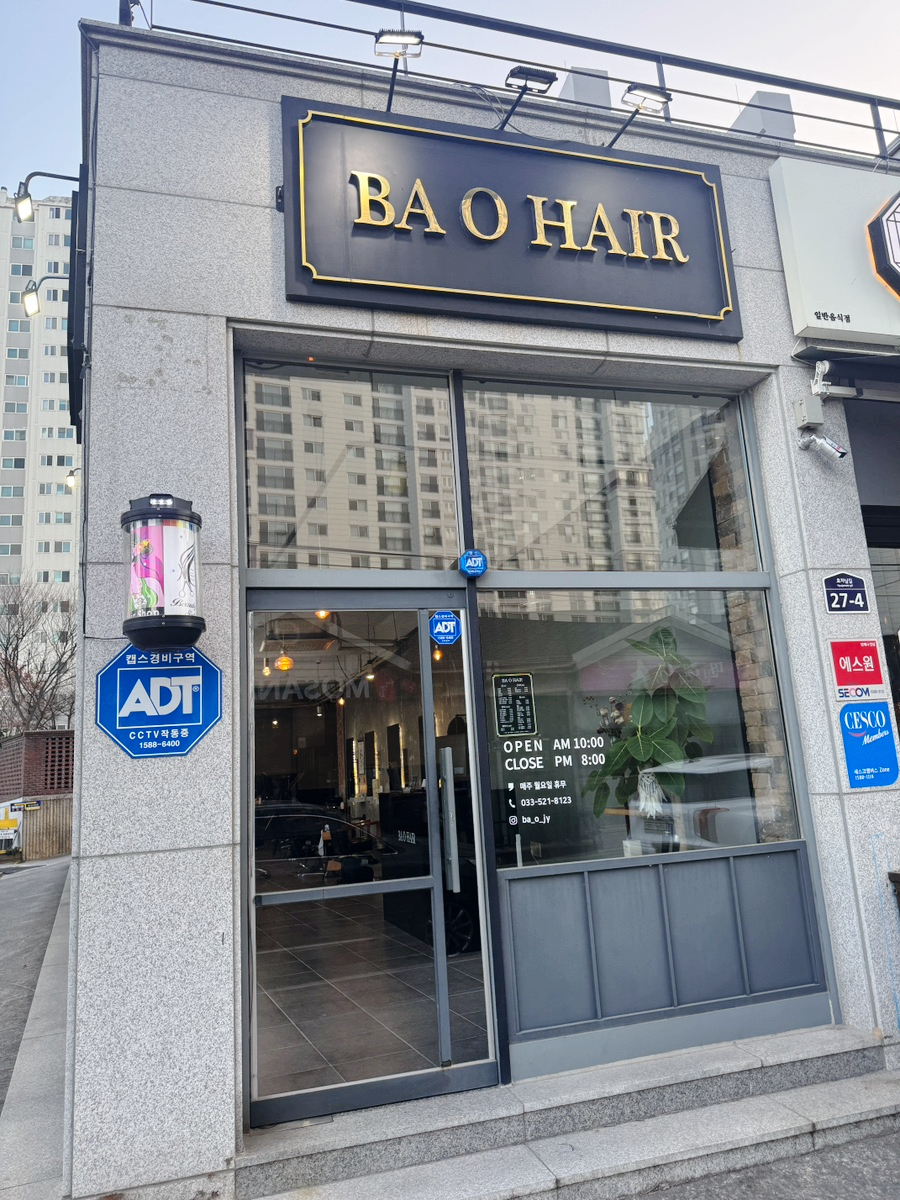 바오헤어 사진 2