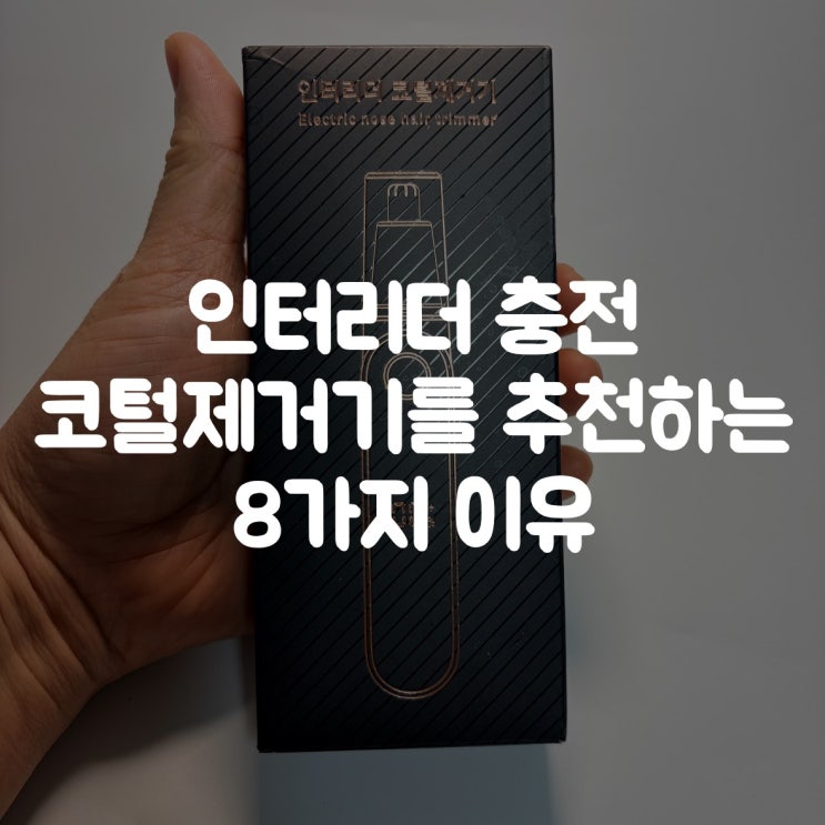  인터리더 충전 코털제거기를 추천하는 8가지 이유