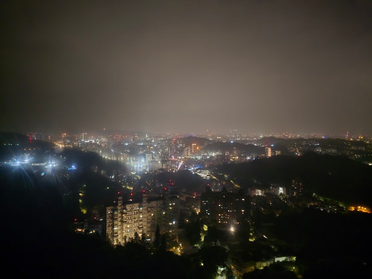  [내돈내산] 타이베이 시립 동물원 + 마오콩 곤돌라 + 마오콩 카페에서 밀크티와 피자 한 판까지 1일 풀코스 논 후기 (가격, 시설, 가게 추천 등)