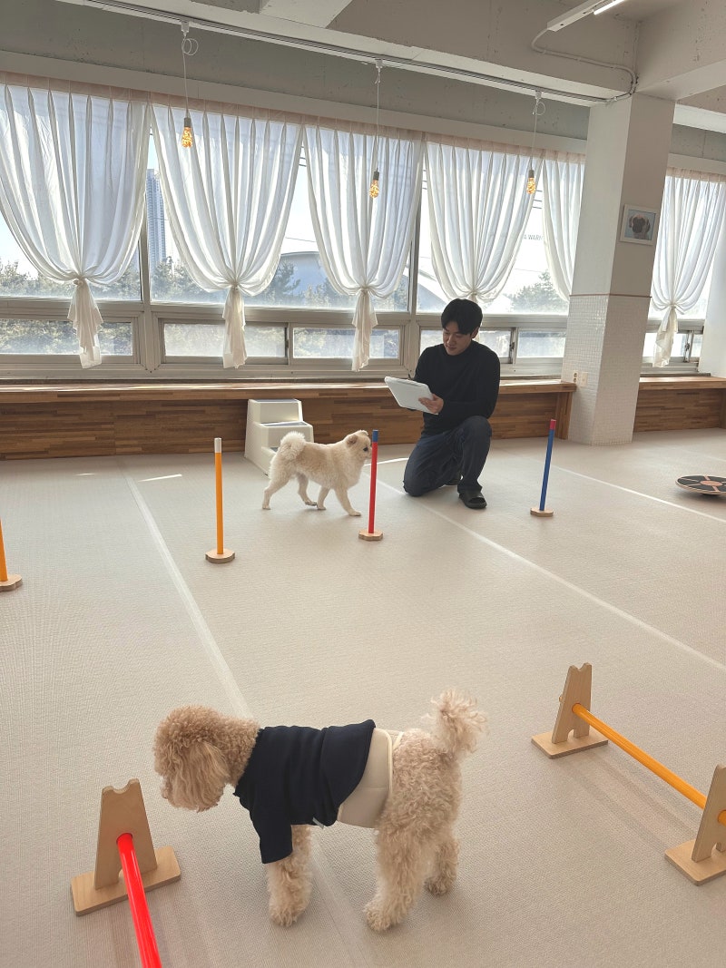 사진 5