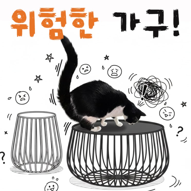  집사라면 한 번쯤 후회하게 되는 가구 5가지