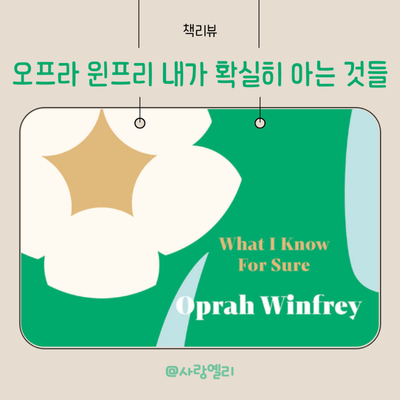 오프라 윈프리 책 내가 확실히 아는 것들 감사와 회복의 힘 삶을 바꾸는 작은 깨달음