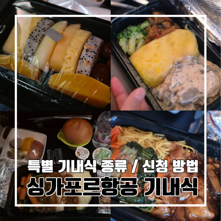  몰디브 신혼여행 : 싱가포르항공 좌석 신청과 특별 기내식 종류, 사전 신청 방법