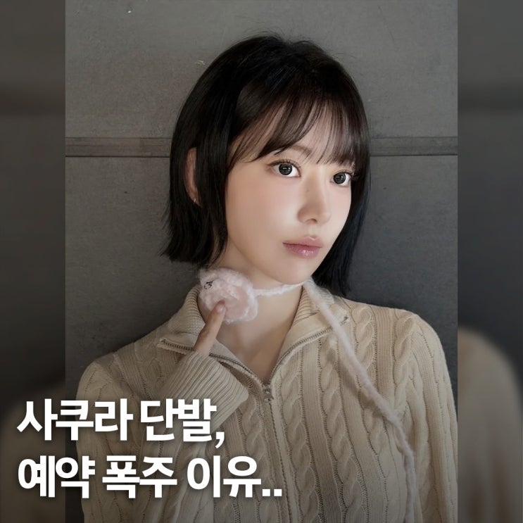  미용실 예약 폭주.. 사쿠라 단발 헤어스타일 포인트, 뭐길래 다 따라 해?