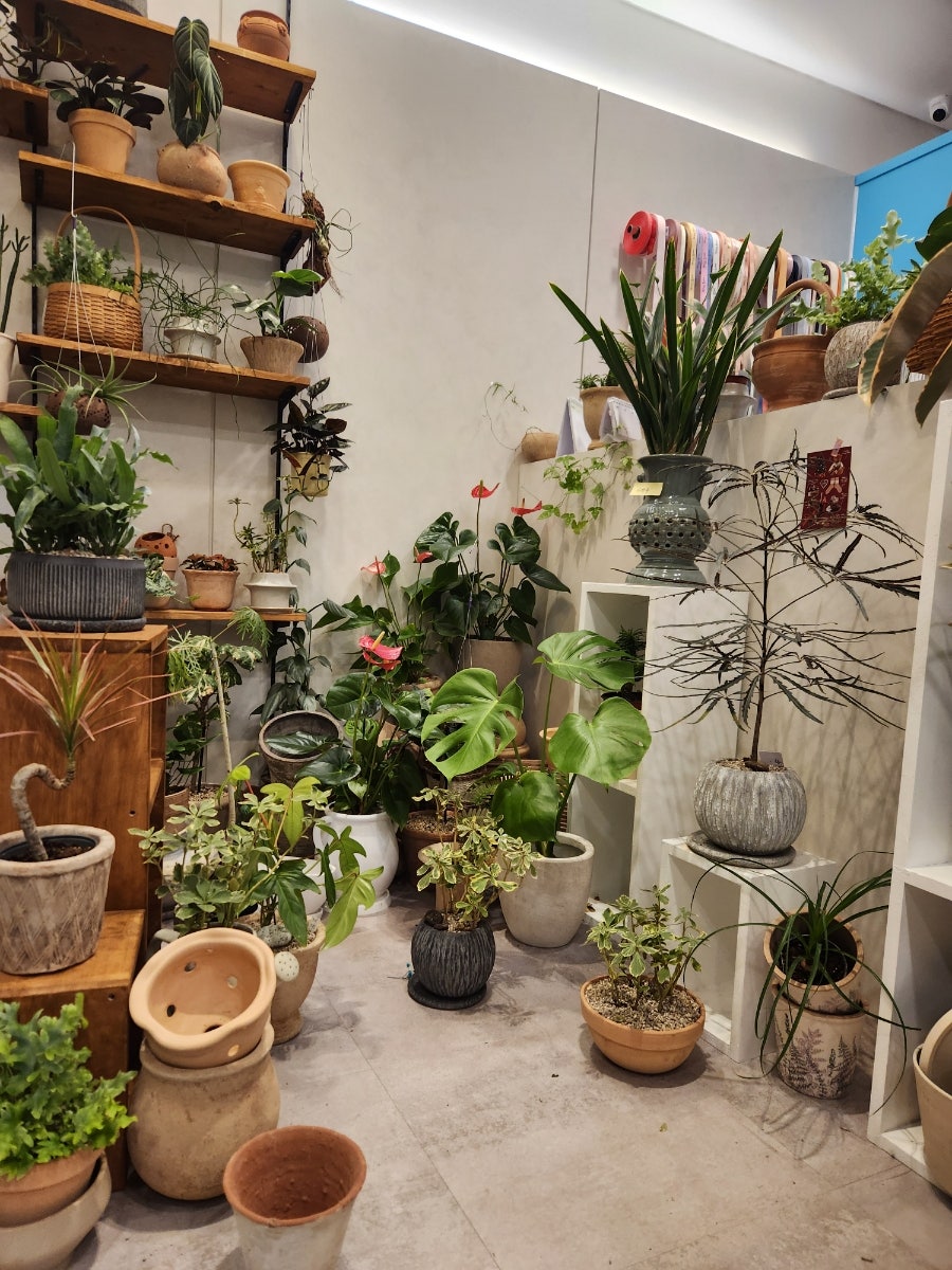 플라워 Belzar&garden 사진 4