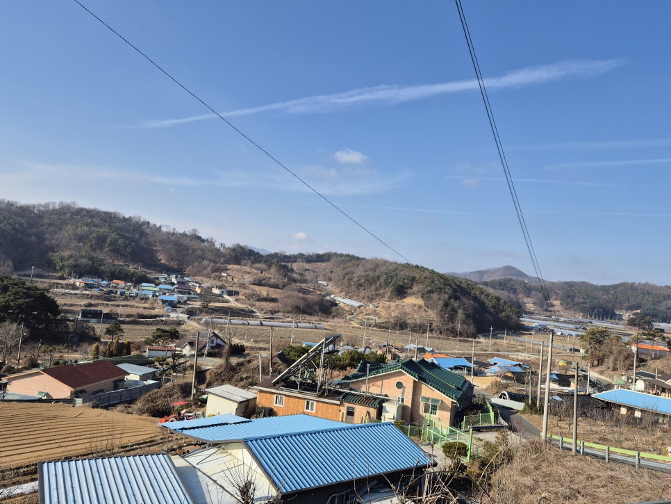 말골 사진 3