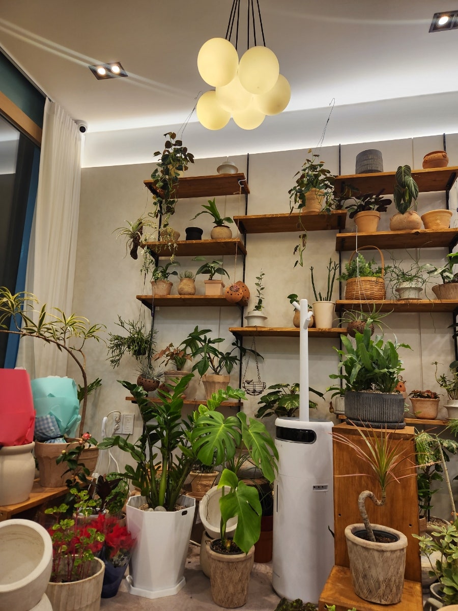 플라워 Belzar&garden 사진 6
