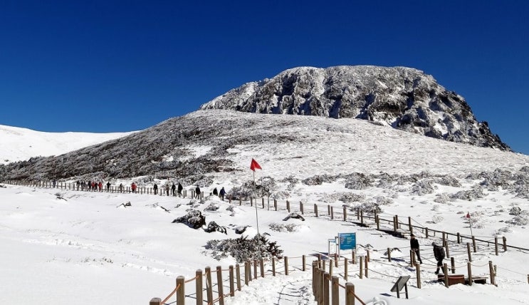  제주도는 겨울에가야지..일정,숙소추천