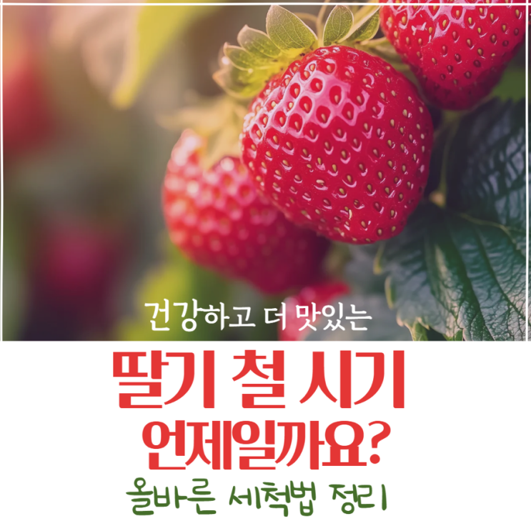  딸기 철 시기｜효능과 혈당, 세척법 정리