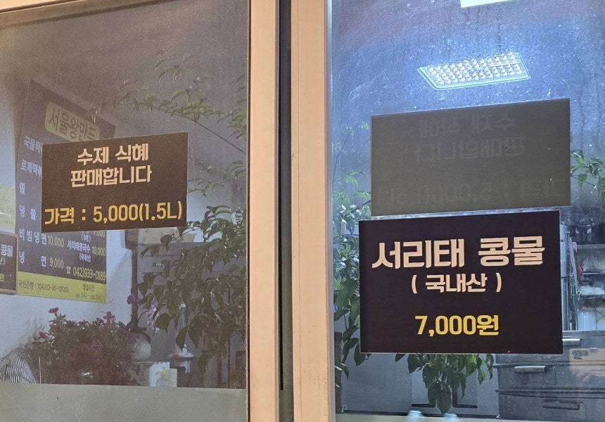 서울왕만두 사진 3
