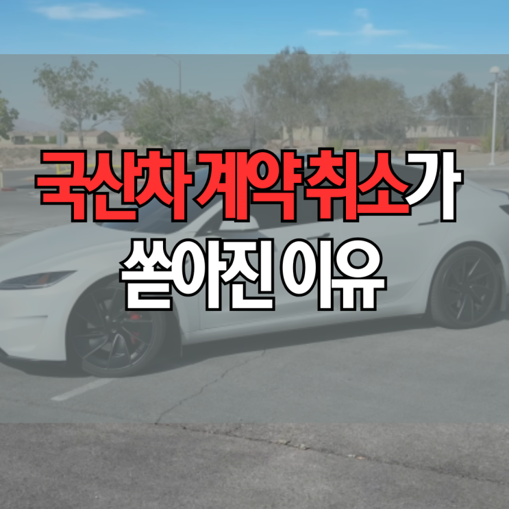 테슬라 모델Y 4999 발표 후 국산차 취소가 쏟아진 이유