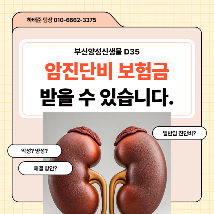  부신양성신생물 D35 암진단비 보험금 청구할 수 있습니다.