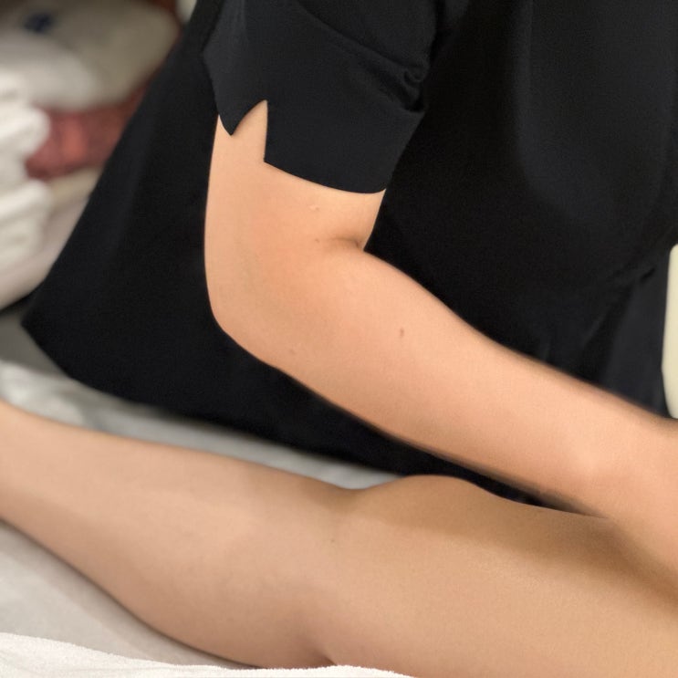  월성동 테라노바 등으로 달서구 하체 순환 높이는 법