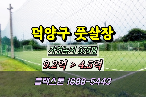  덕양구 풋살장 경매 대장동토지 300평대 2025타경63640