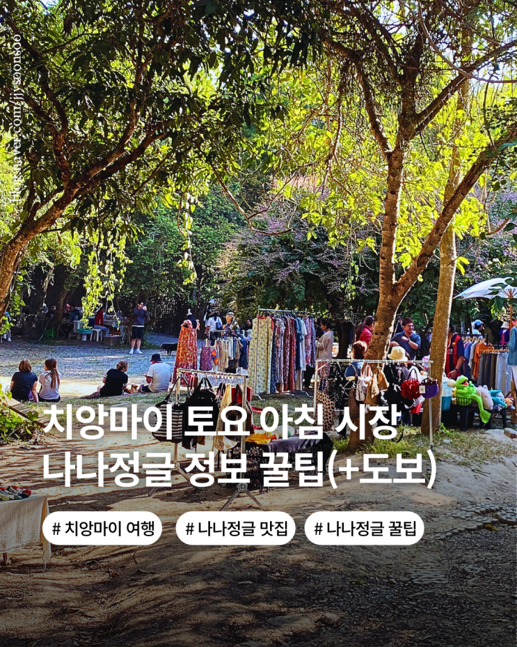  치앙마이 모닝 마켓 토요일만 열리는 나나정글 후기 가격 맛집 준비물 꿀팁까지