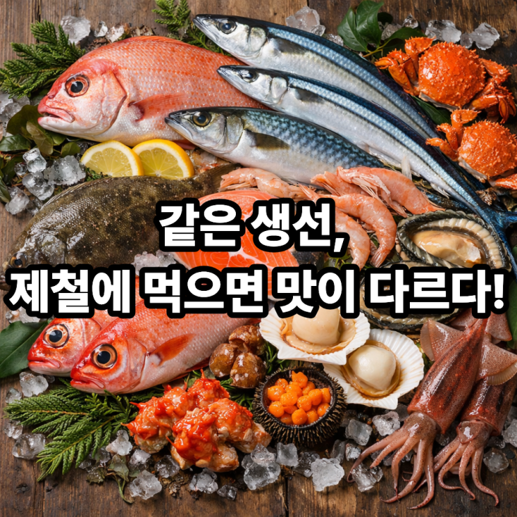   생선류 제철해산물, 언제 먹어야 맛있을까?｜맛의 타이밍 정리