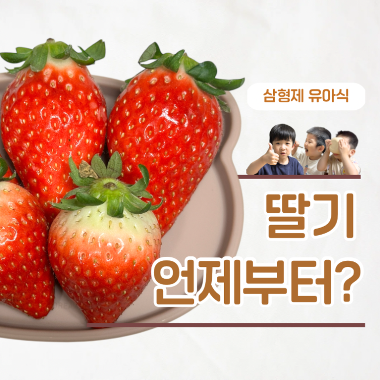  아기 딸기 언제부터?  하루 몇개 먹여야할까