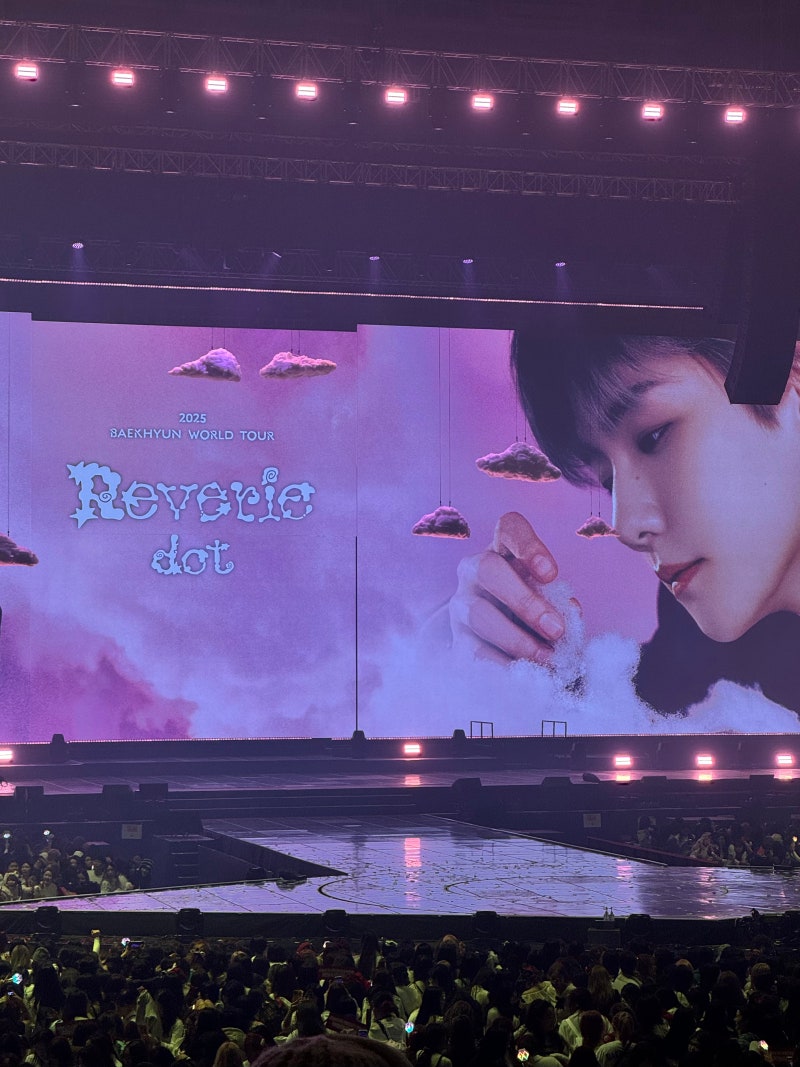 백현 솔로콘서트 레버리 닷 후기 ,,,